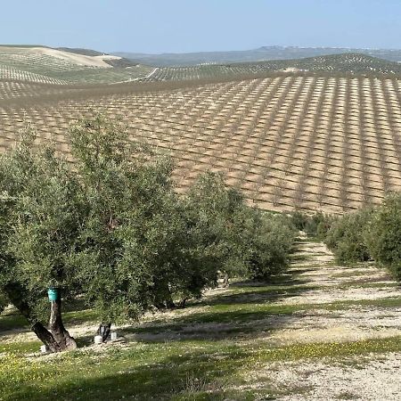 Vivienda Cadiz De Paso Διαμέρισμα Ούβεδα Εξωτερικό φωτογραφία